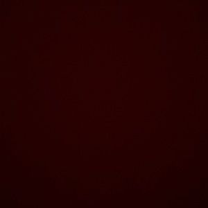 Meet your Posher, Izzy